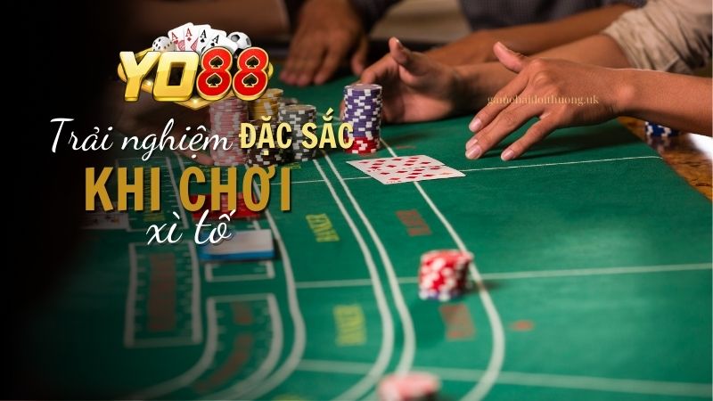 Trải nghiệm chơi Xì tố trên Yo88