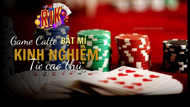 Gia tăng tỷ lệ thắng với kinh nghiệm chơi game bài Catte tại Rik Vip từ cao thủ