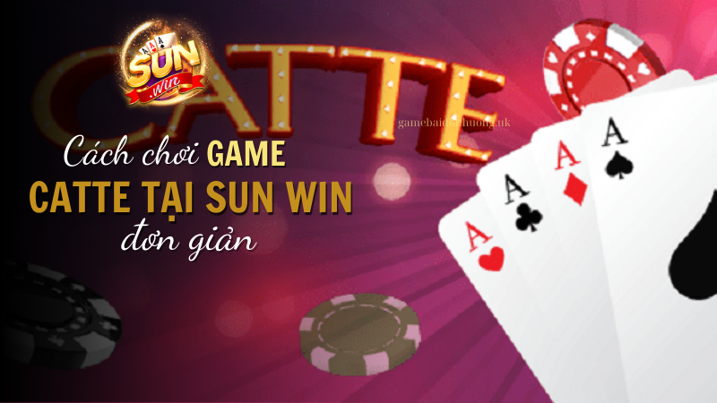 Cách Chơi Game Bài Catte Tại Sun Win Đơn Giản