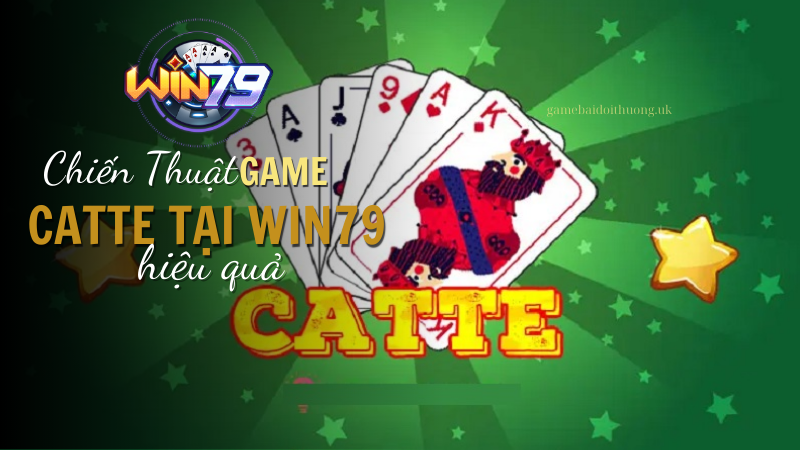 Chiến Thuật Chơi Catte tại Win79 Hiệu Quả