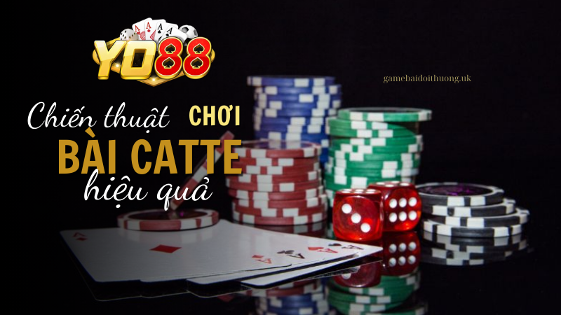 Chiến thuật chơi Catte tại Yo88 hiệu quả