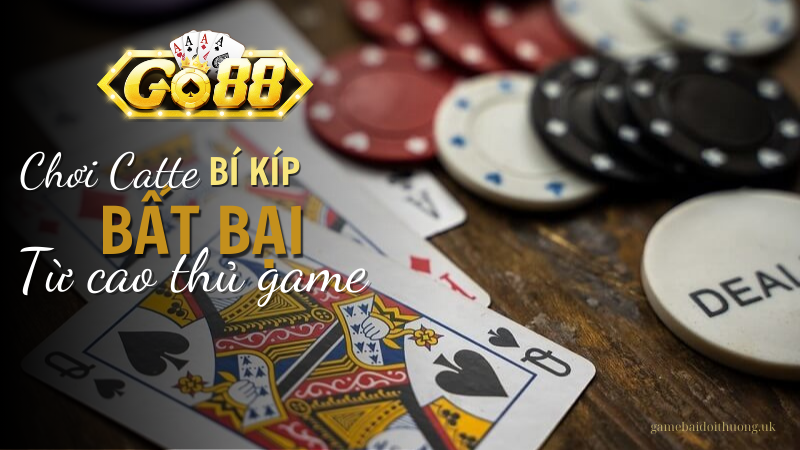 Khám phá những kinh nghiệm và bí kíp bất bại chơi game bài Catte tại Go88